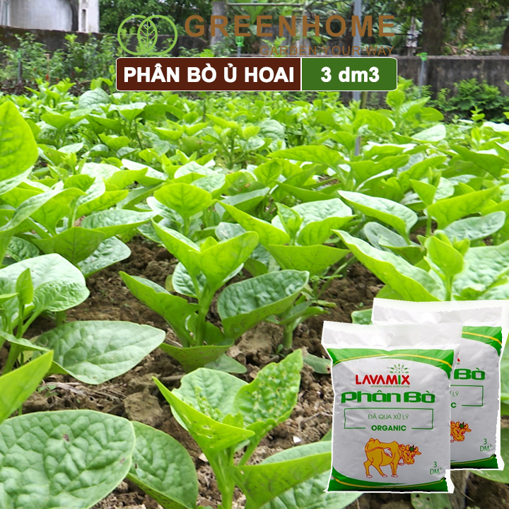 Phân bò Lavamix, bao 3dm3, đã qua xử lý, không mùi hôi, hữu cơ tiện lợi 