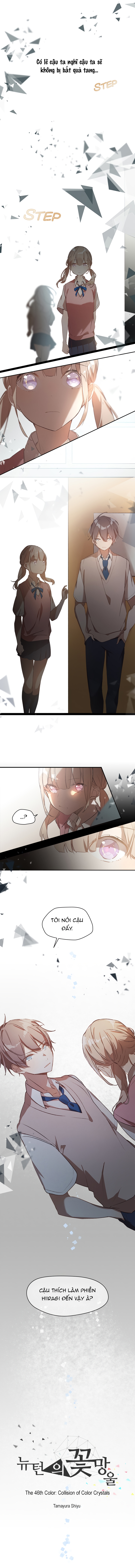 nụ hoa của newton chapter 46 2