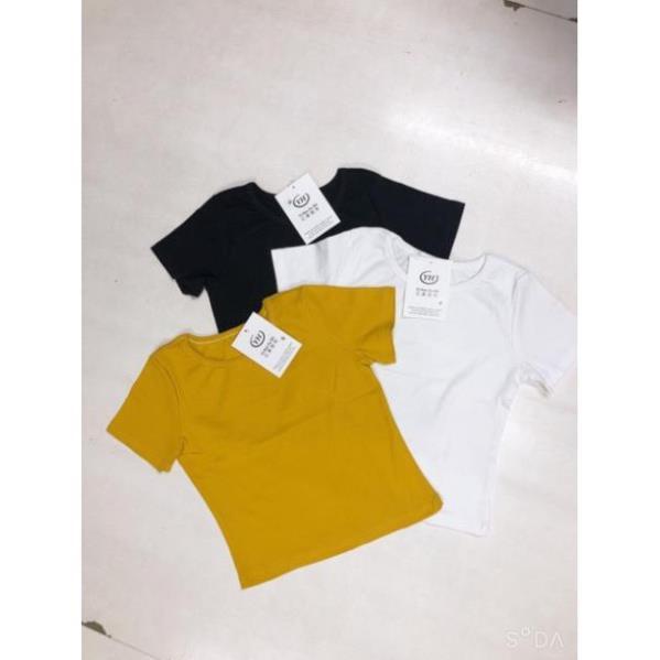 Áo croptop cộc tay chất cotton zip