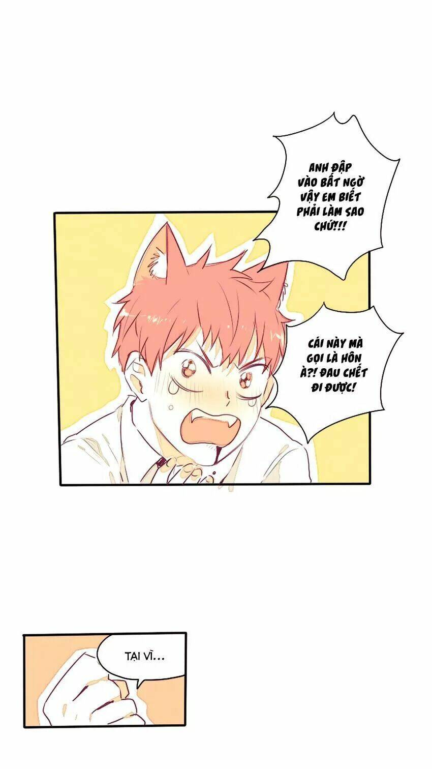 cưới, tôi ư? chapter 29 7