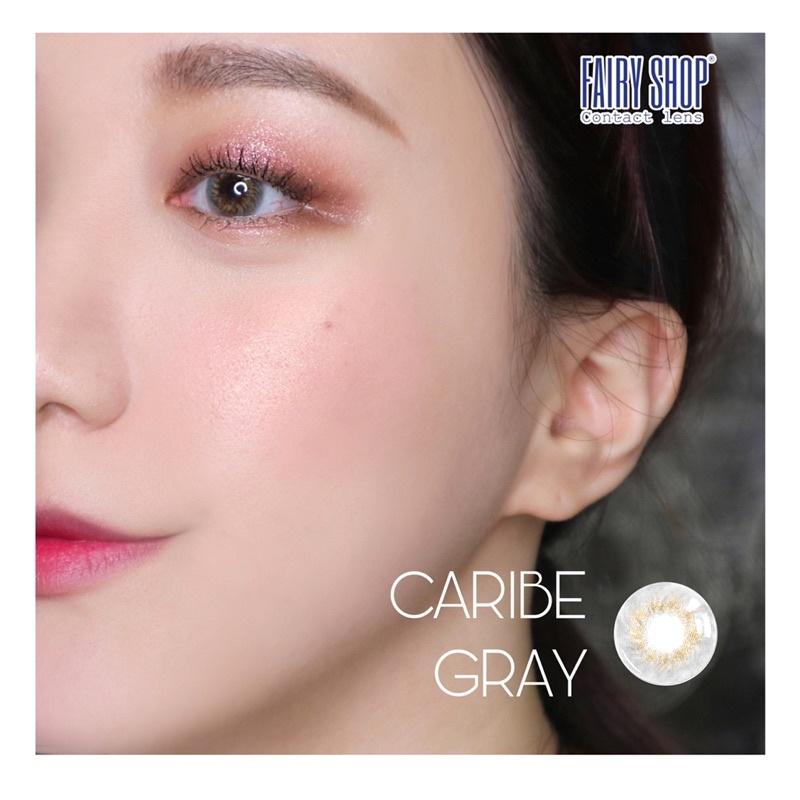 1 Chiếc Kính áp tròng Caribe Gray 14.0mm - FAIRY SHOP CONTACT LENS - độ 0 đến 8 silicone hydrogel Lens cho mắt thở