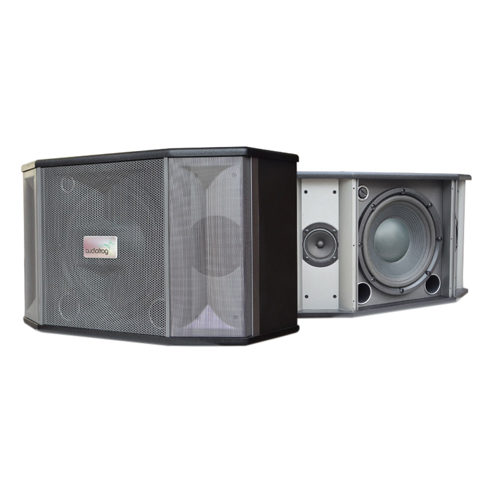 Loa Karaoke 2 Đường Tiếng Audiofrog M10F (400W) - Hàng Chính Hãng