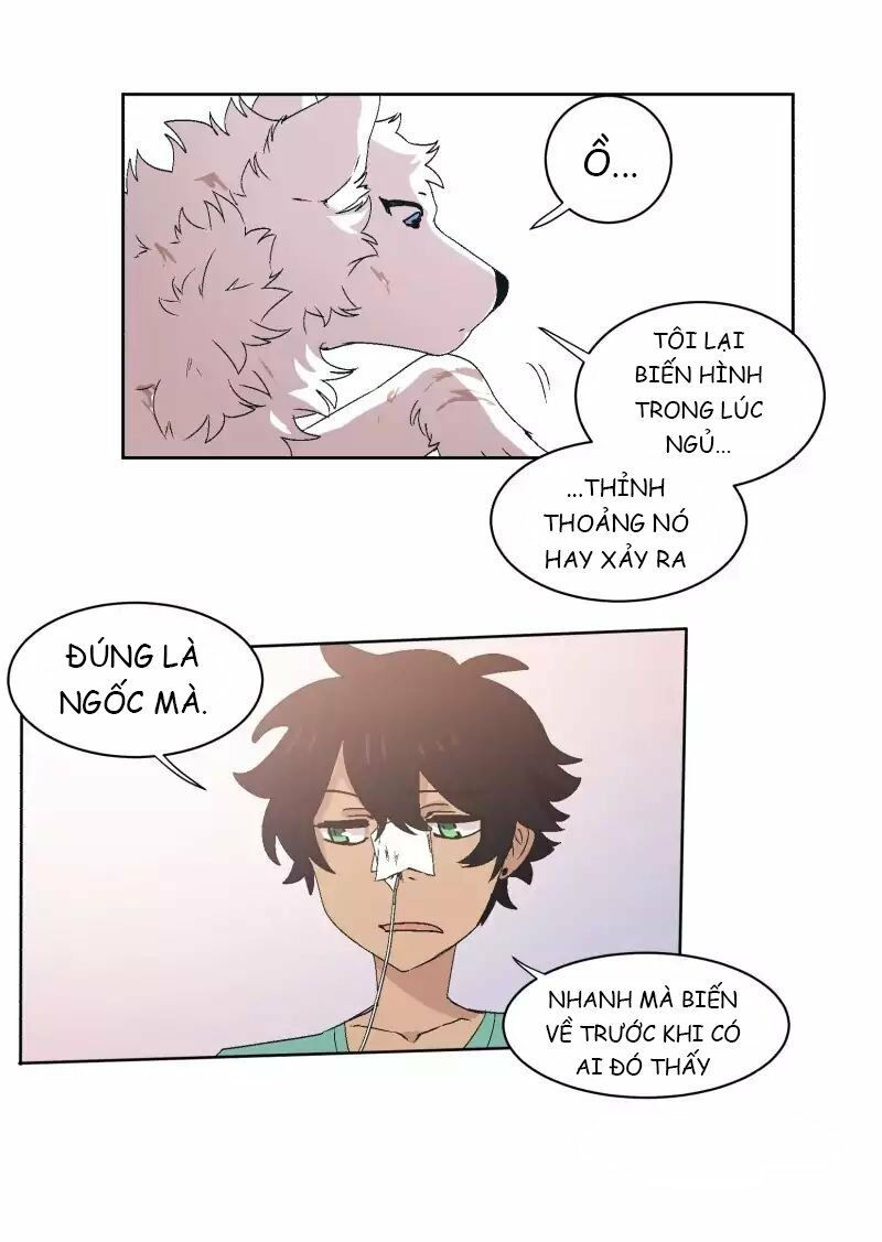 lumine - cội nguồn ánh sáng chapter 33 31