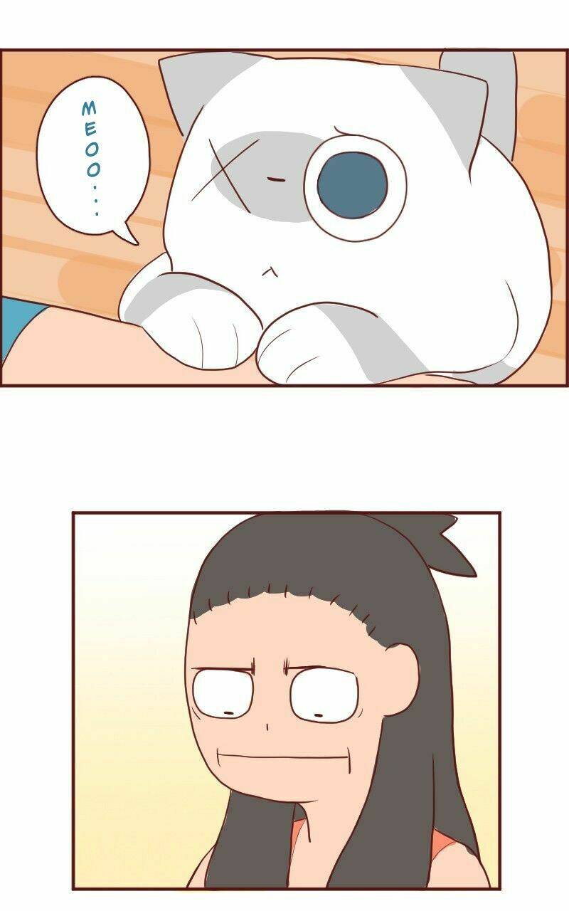 saphie: chú mèo một mắt chapter 6 6