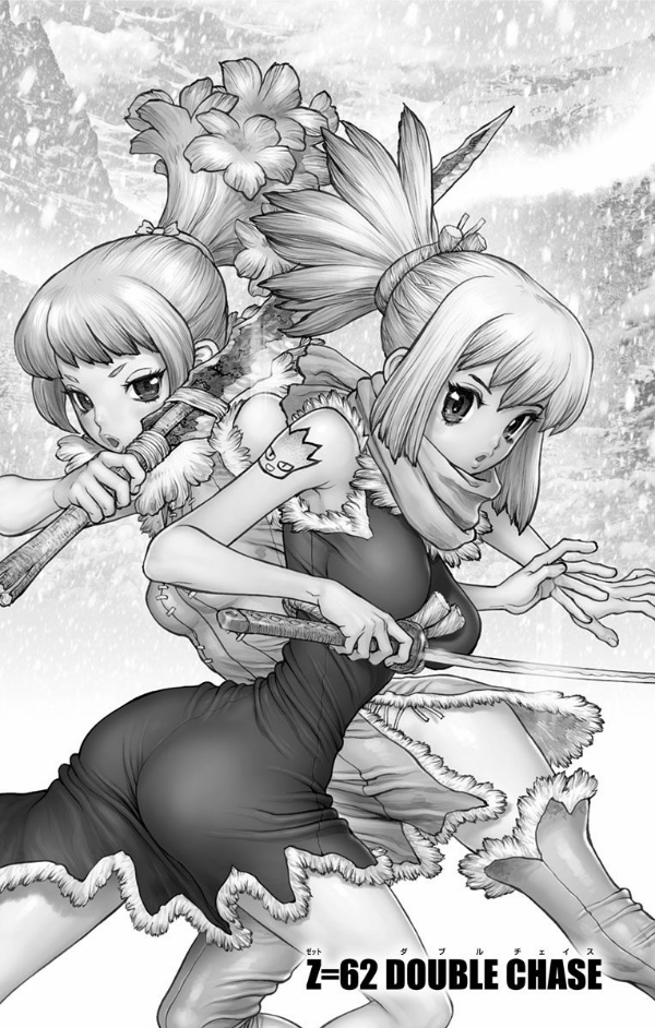 Dr. STONE 8 (ジャンプコミックス)