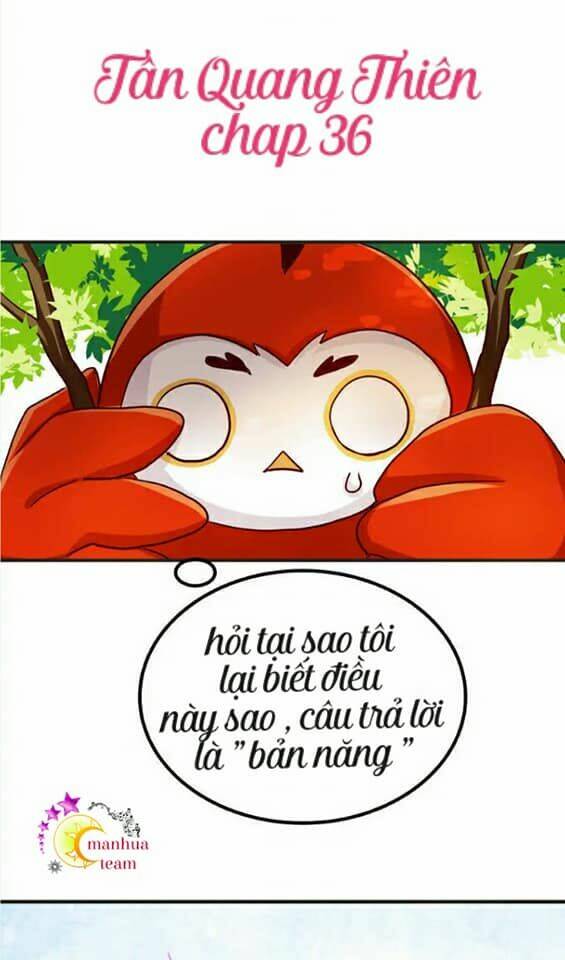 tân quang thiên chapter 36 1