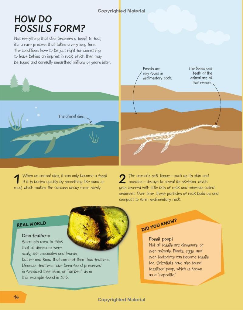 Sách ngoại văn: What's The Point Of Science?
