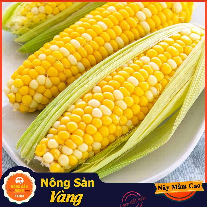 Hạt giống Bắp Mỹ (Ngô Mỹ) ( Gói 10 Gram ) - Nông Sản Vàng