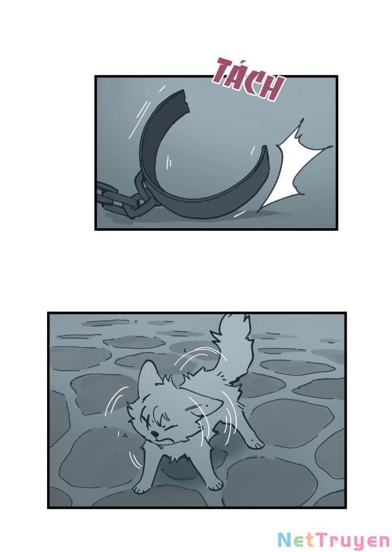 lumine - cội nguồn ánh sáng chapter 150 28