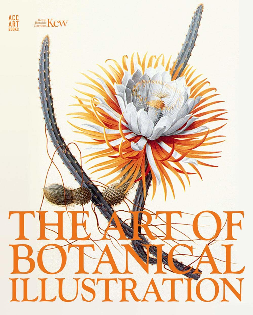 Artbook - Sách Tiếng Anh - The Art of Botanical Illustration