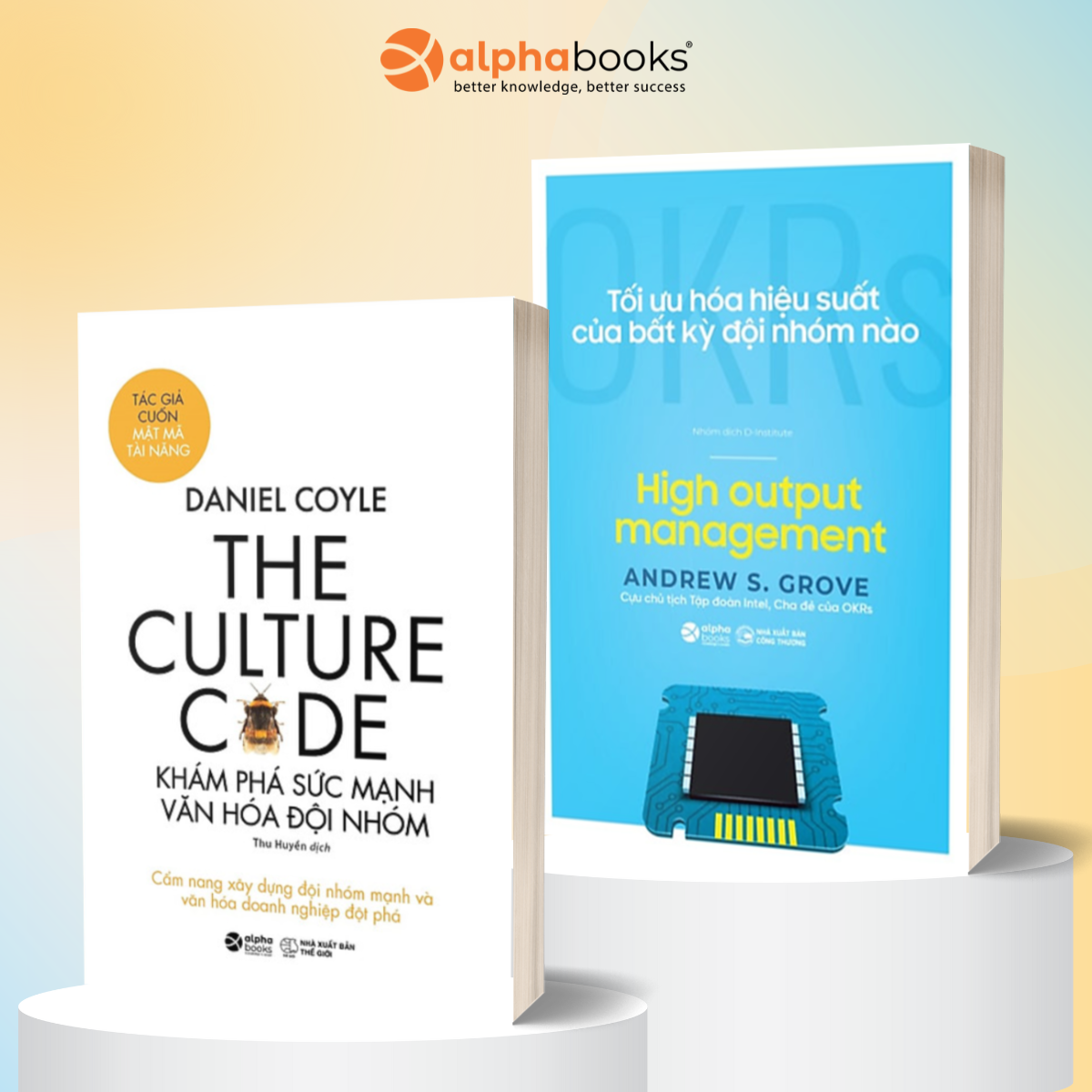 Combo Tối Ưu Hóa Hiệu Suất Của Bất Kỳ Đội Nhóm Nào + The Culture Code - Khám Phá Sức Mạnh Văn Hóa Đội Nhóm