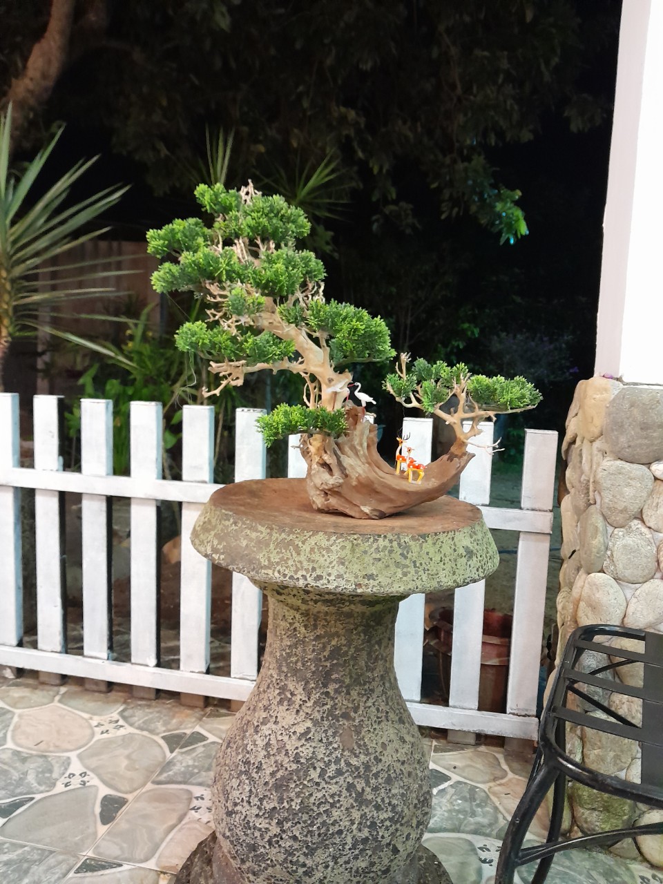 Bonsai Bể Cá – Cây Bonsai Đặt Phòng Khách