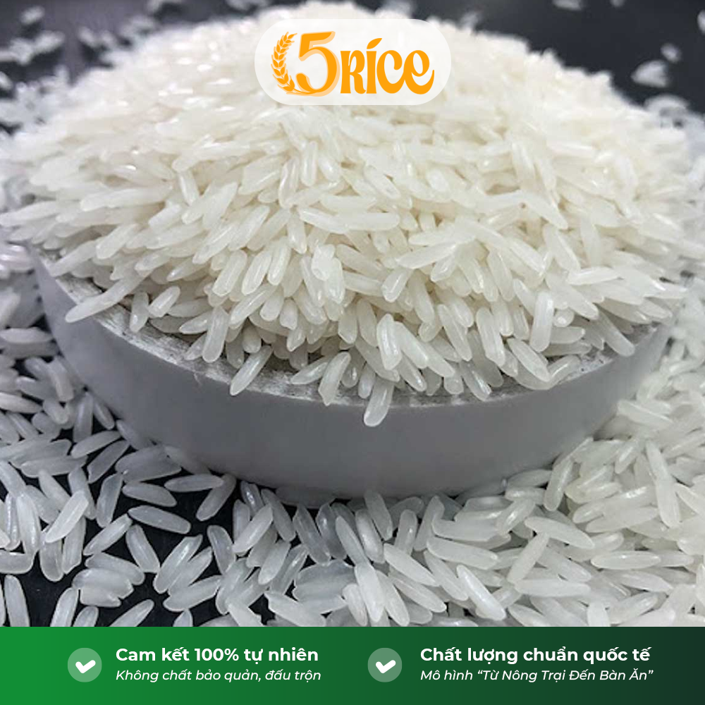 Gạo thơm hương Lài đặc sản - Túi 5kg - Gạo thượng hạng thơm dẻo, đậm vị 5RICE