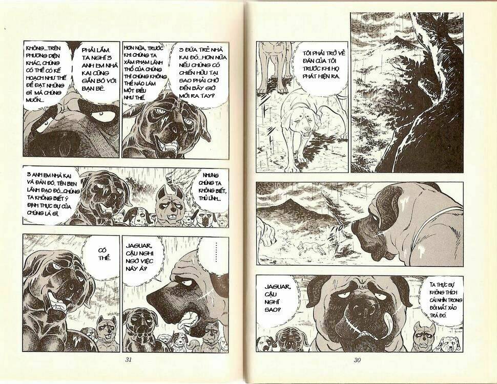 chú chó có nghĩa - ginga nagareboshi gin chapter 13 11