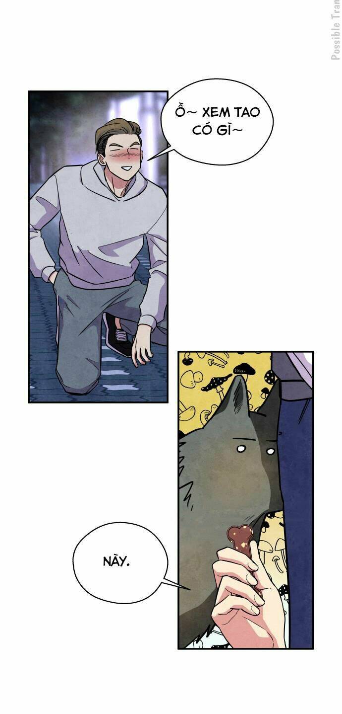 tai sói và mũ đỏ chapter 38 14