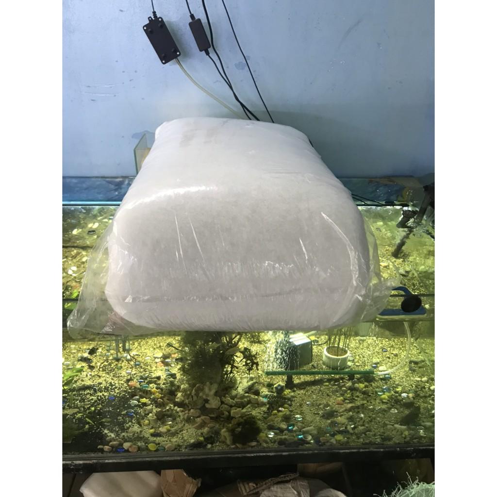 Bông lọc bể cá - bể cá mini