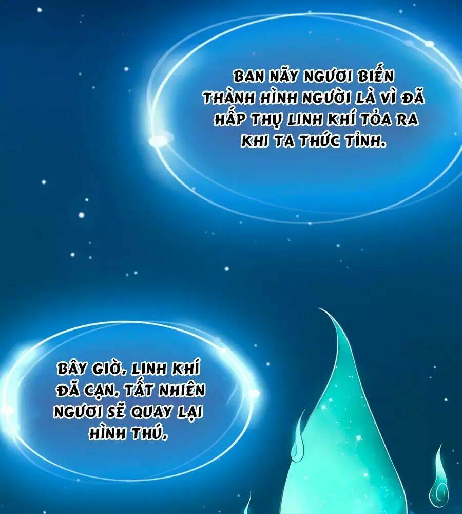 dưỡng thú vi phi chapter 4 13