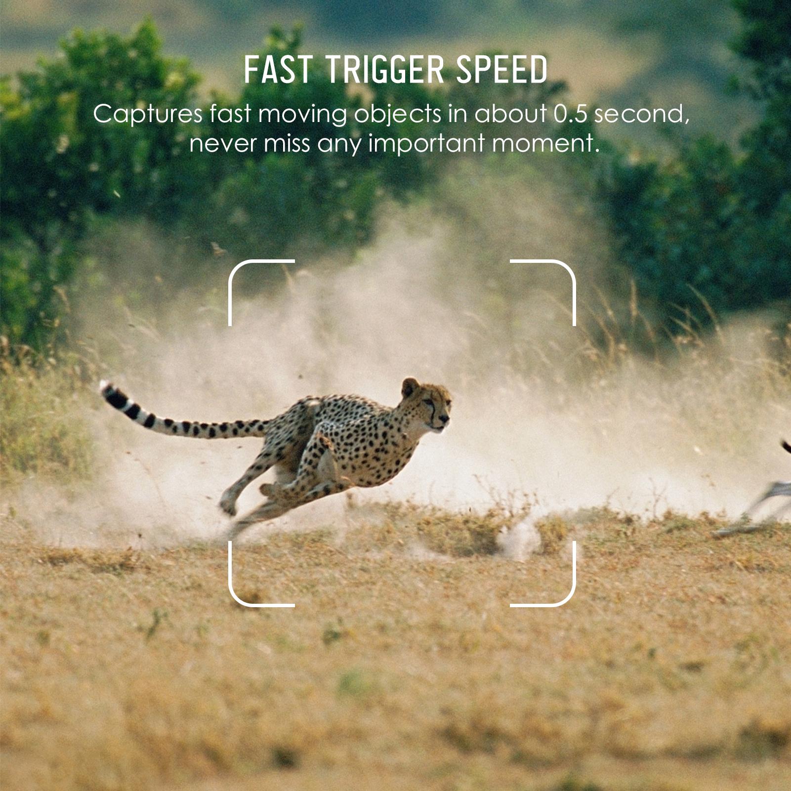 Trail Camera 16MP 4K Waterproof Game Hunting Camera with Night Vision for Wildlife Monitoring Hunting