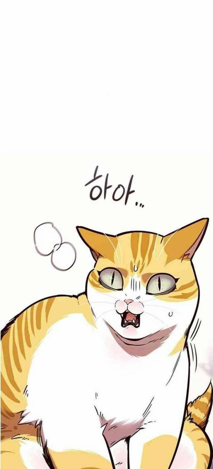 biến thân thành mèo chapter 138 72