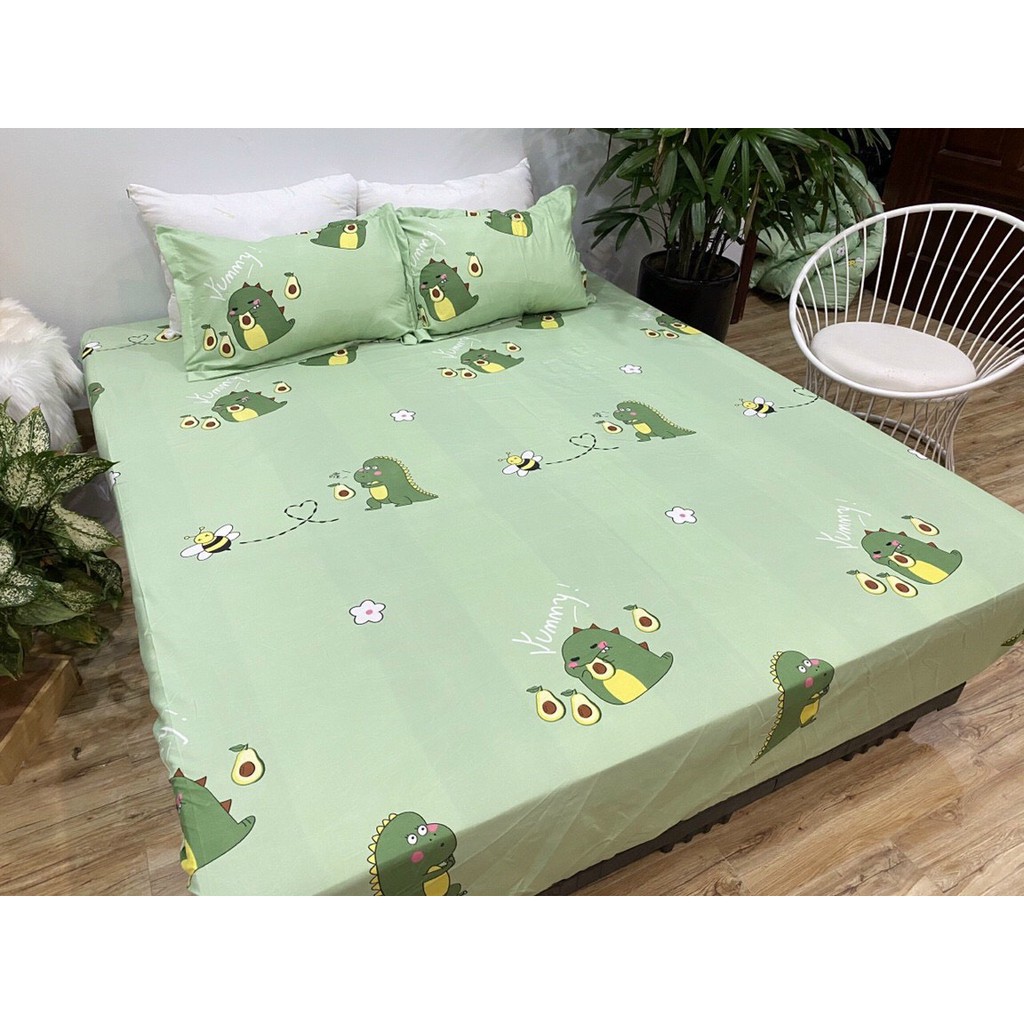 Bộ ga + 2 vỏ gối
