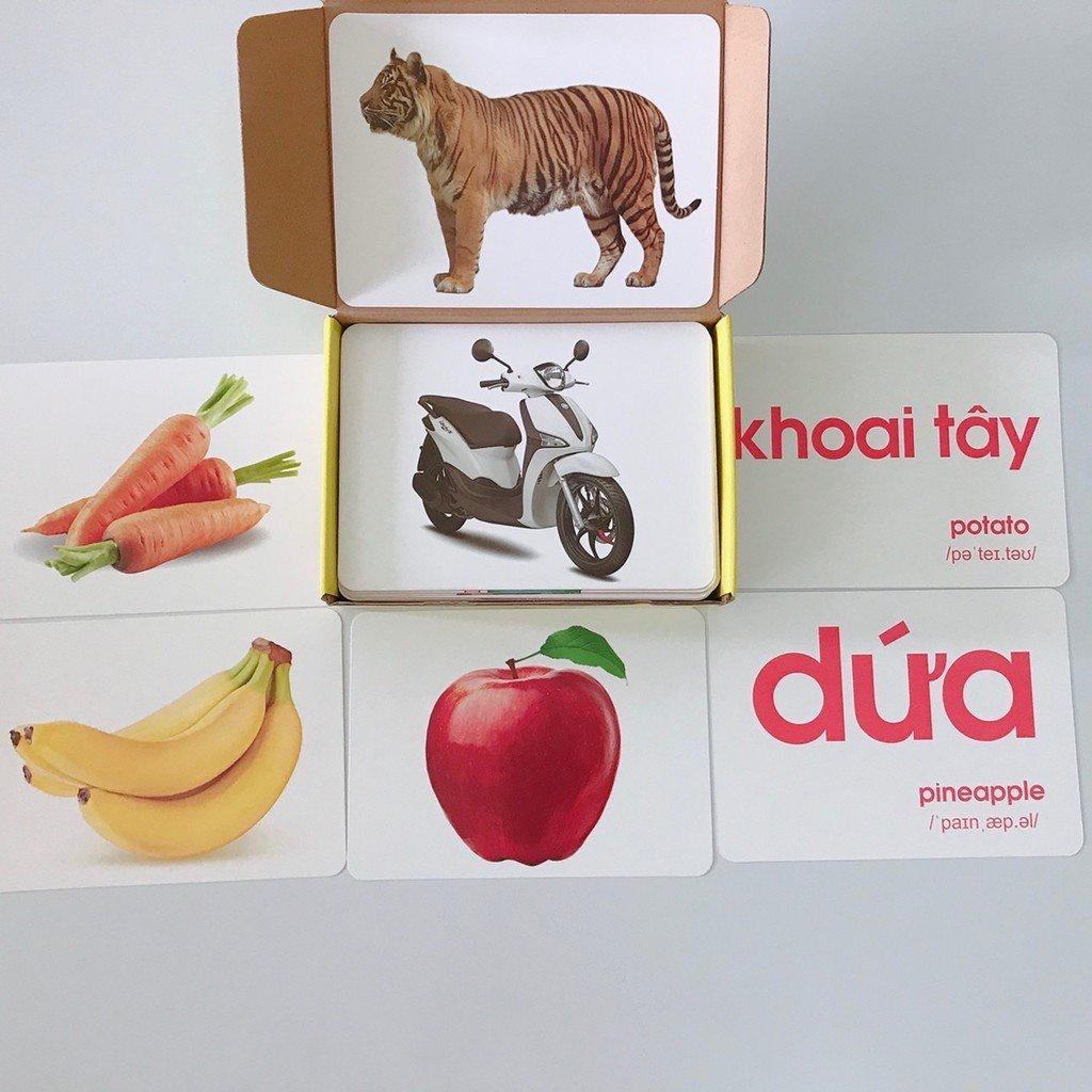 Bộ Thẻ Học Thông Minh FlashCards Song Ngữ Anh Việt Theo Phương Pháp Glenn Doman -Trọn Bộ 14 Chủ Đề 100 Thẻ A5