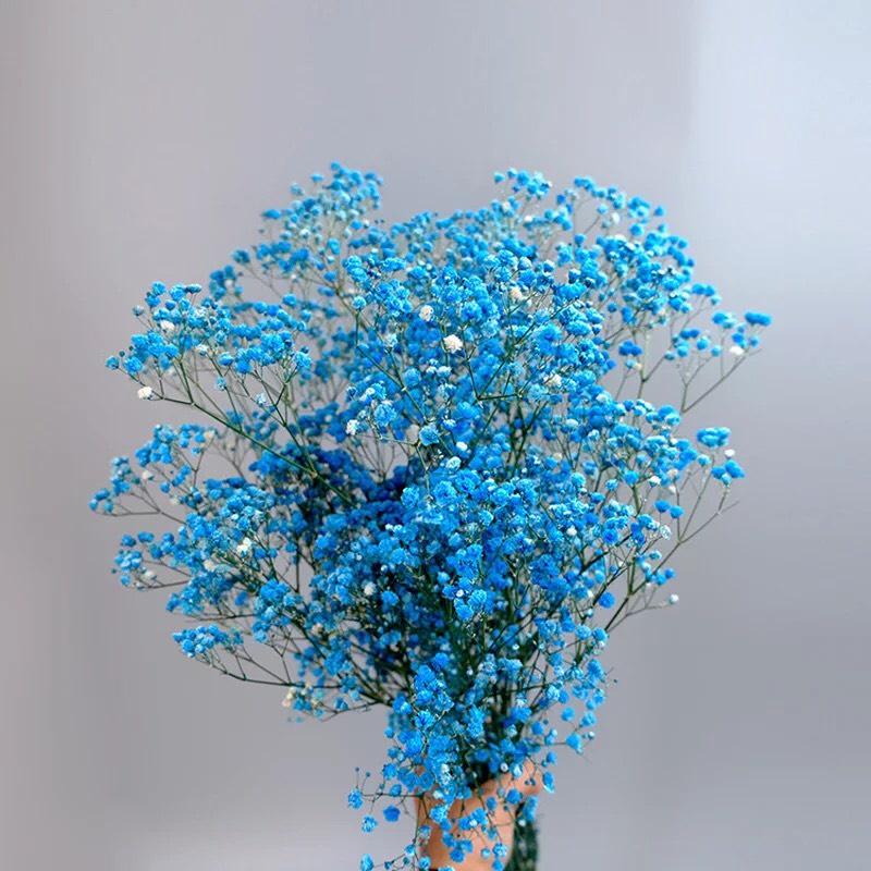 Hoa Khô - Bó 100g Hoa Baby Bloom Tuyệt Đẹp Phong Cách Vintage Trang Trí Nhà Cửa, Làm Hoa Cưới