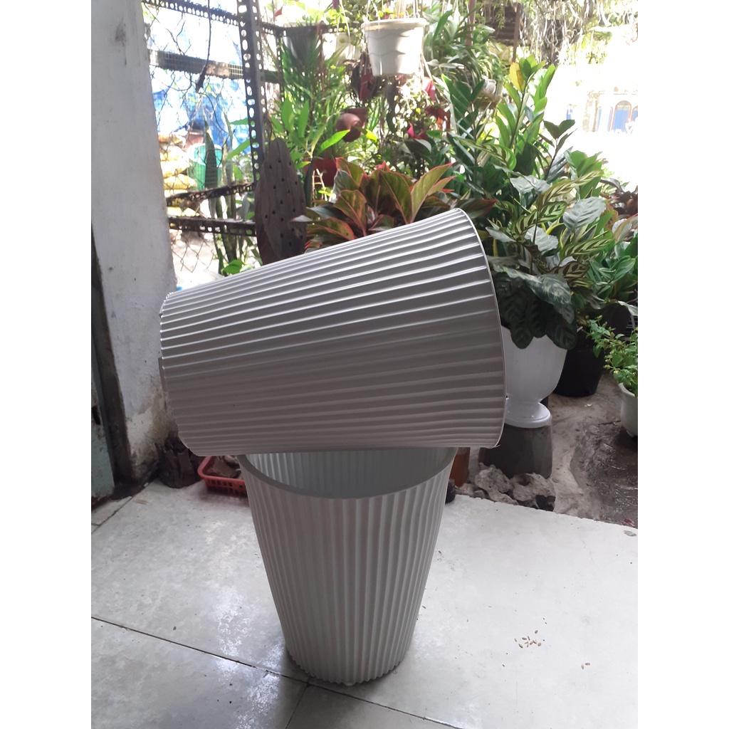 Combo 2 chậu nhựa dày trồng kiểng sọc
