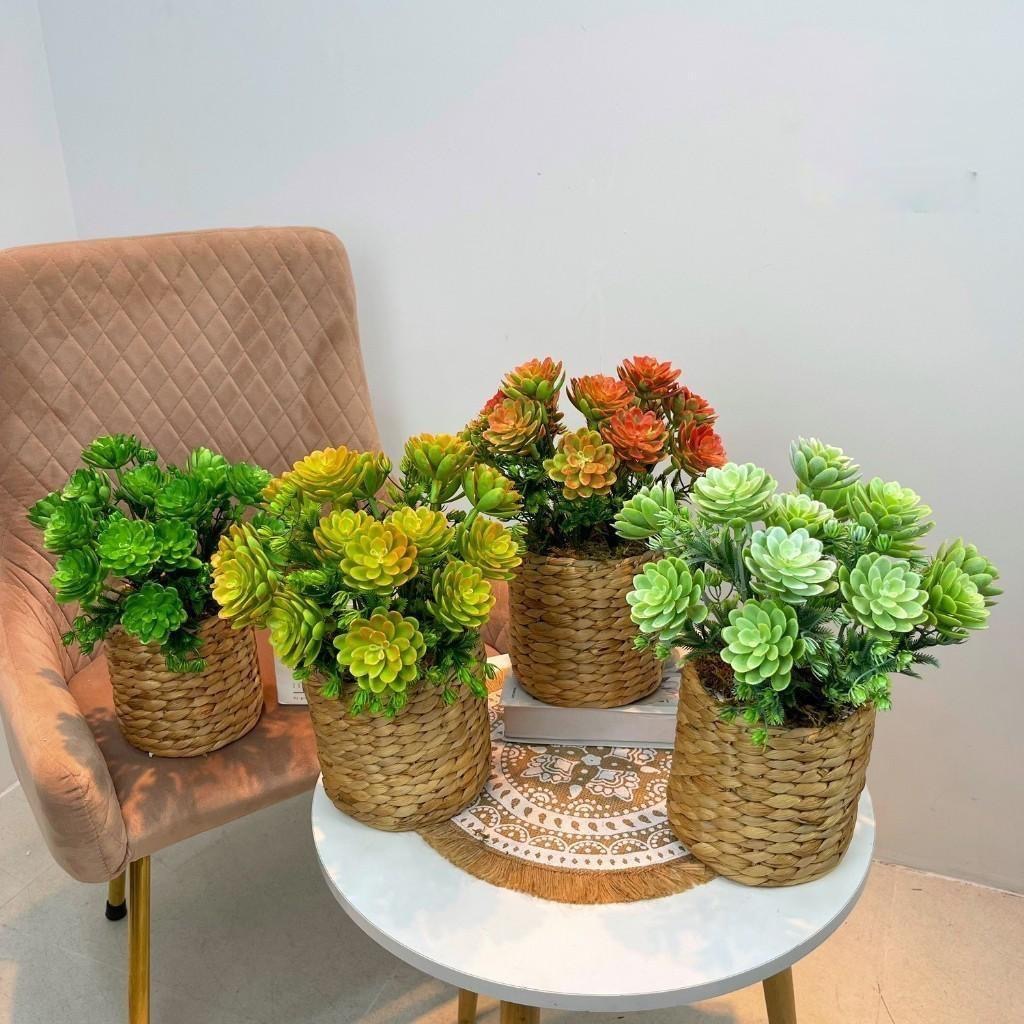 Chậu cây trang trí để bàn kèm giỏ y hình các loại - Cao 35cm đến 48cm - Cây giả, hoa lụa Decor trang trí nhà cửa