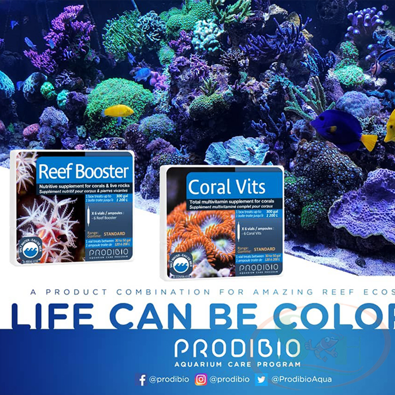 Vitamin Nước Biển Prodibio Coral Vits