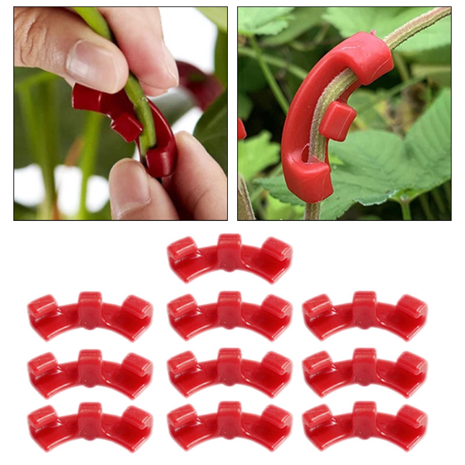 10Pcs Plant Trainer Clips Accs Garden Decoration for Training Flower Outdoor