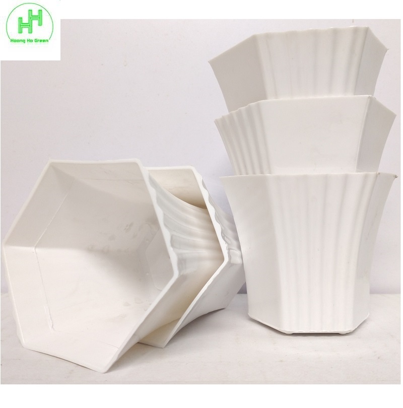 5 Chậu nhựa Lục giác Sen đá 100x80x60, trồng cây mini, xương rồng, cây để bàn, sen đá