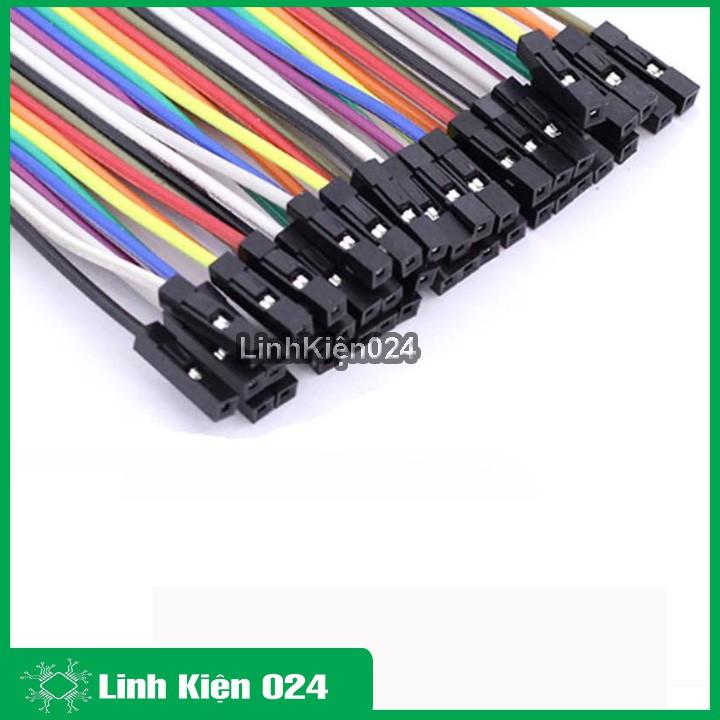 Tệp 40 Sợi Dây Nối 40P 21Cm Câu Mạch 2 Đầu Cái Cái