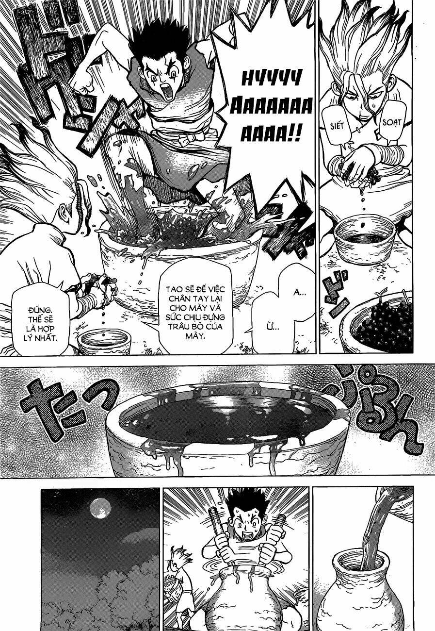 dr.stone - hồi sinh thế giới chapter 2 14