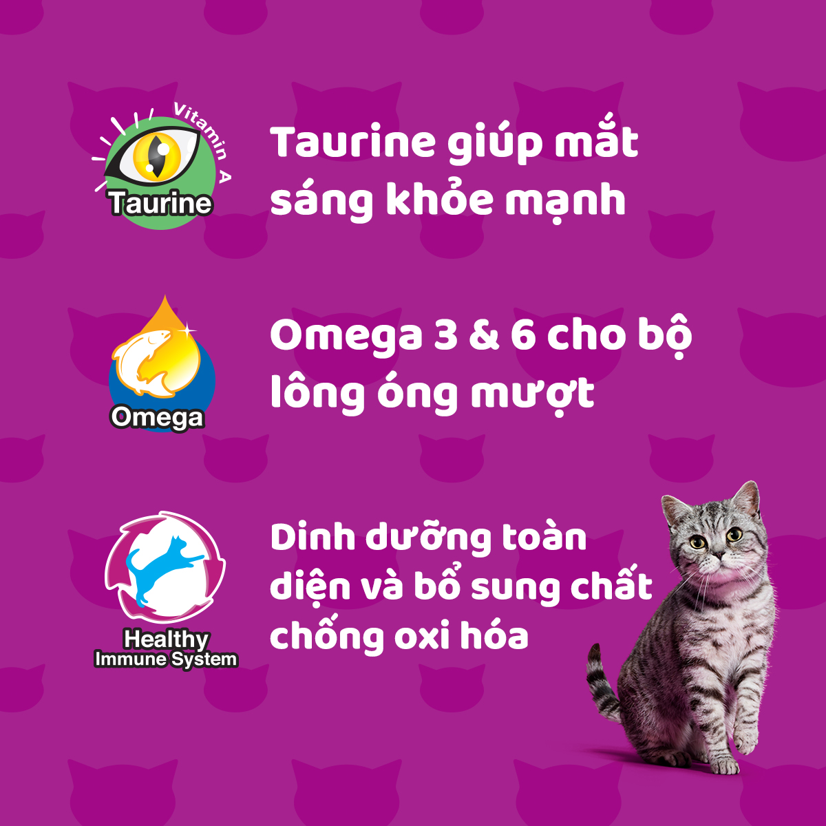 WHISKAS Bộ thức ăn cho mèo lớn dạng pate vị cá biển 400g + vị cá ngừ 400g