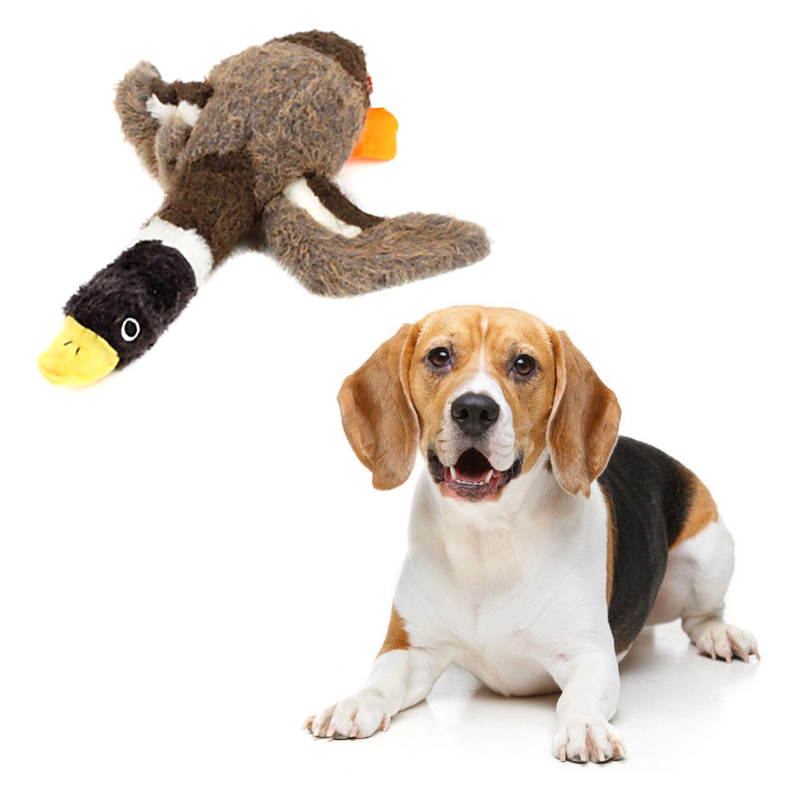 Đồ chơi cho chó với thiết kế tiếng kêu và tiếng động vật