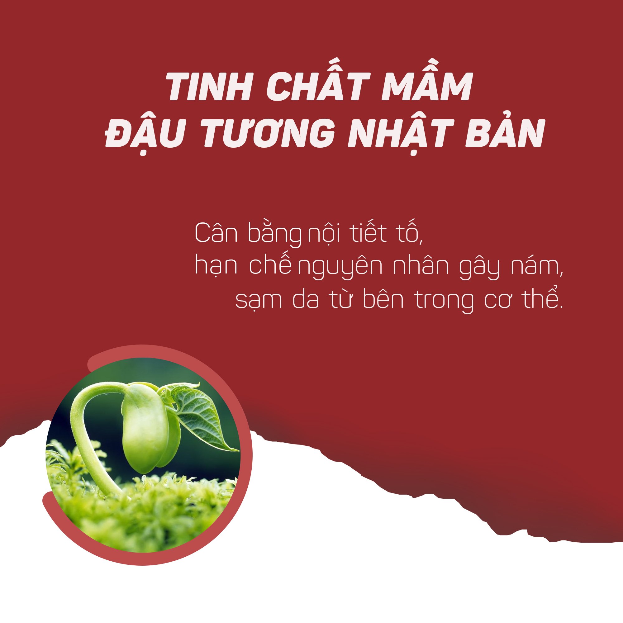 Viên Uống Sắc Ngọc Khang ++ chống lão hóa da, giảm nám, tàn nhang cao cấp (Hộp 60 Viên)