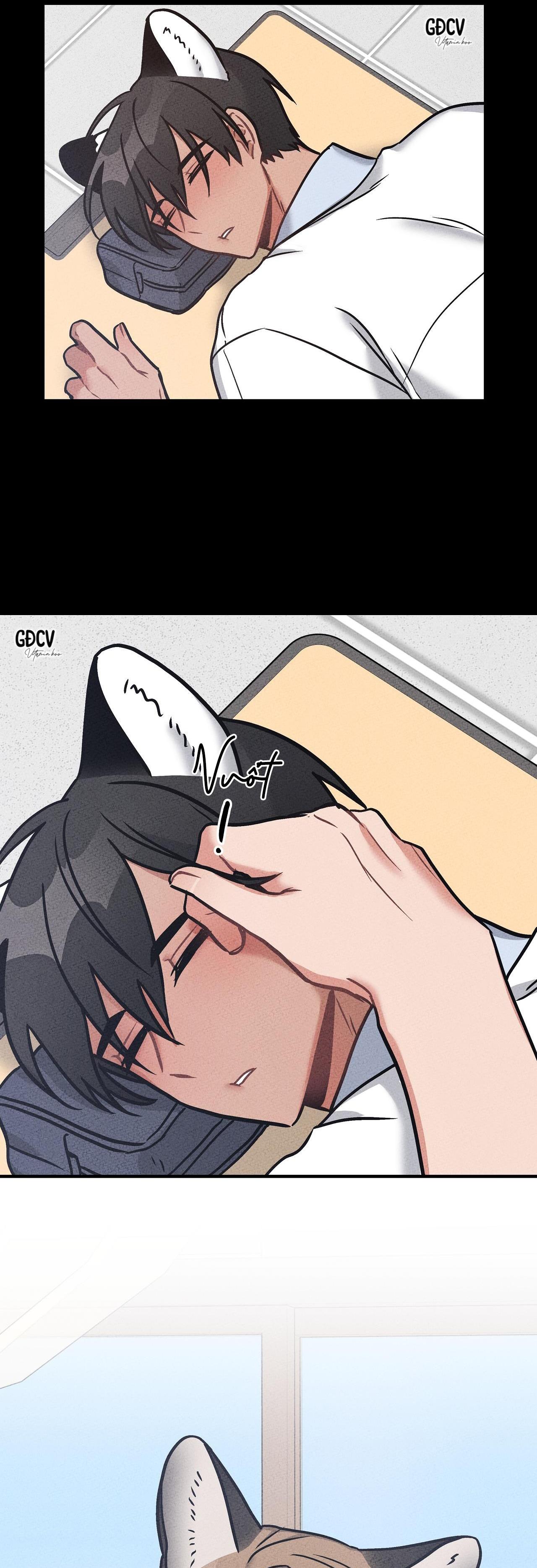 thưa ngài hổ, tôi đã ăn rất ngon miệng chapter 8 31