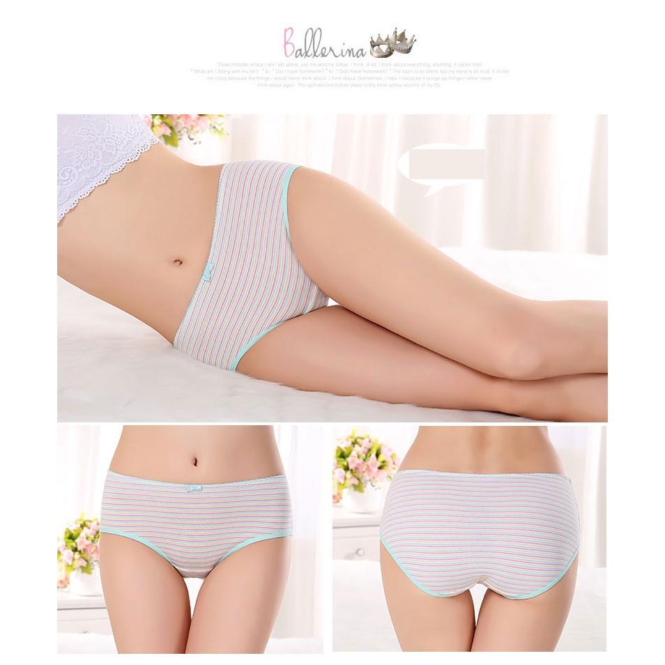 Bigsize Nữ - Quần Chip Ngôi Sao