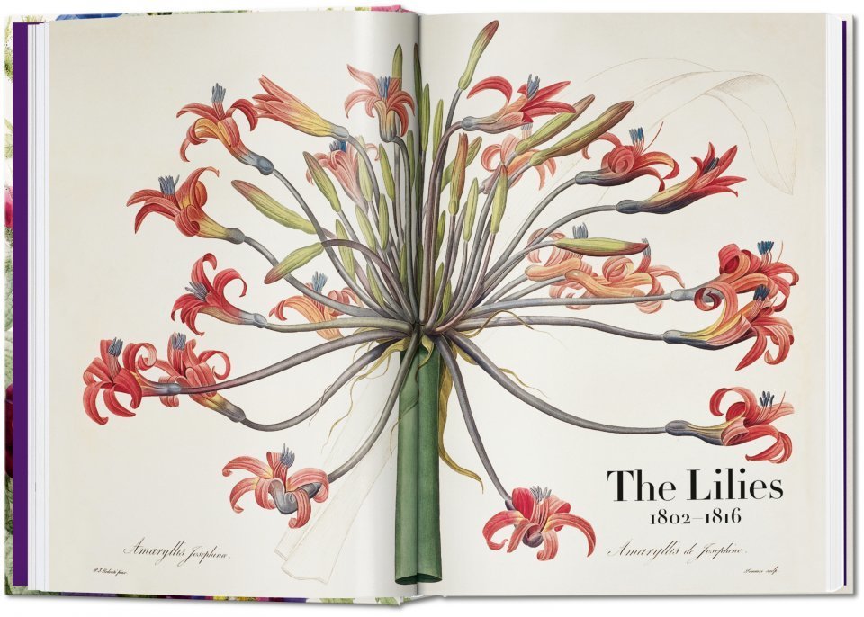 The Book of Flowers. 40th Ed.