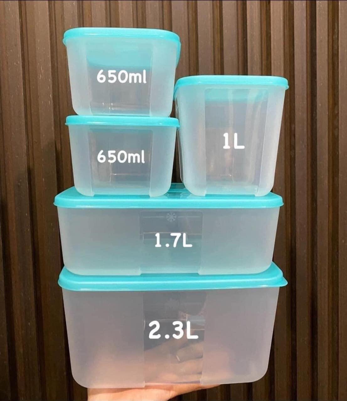 Bộ Trữ Đông Tupperware Freezermate Paradise Set 5