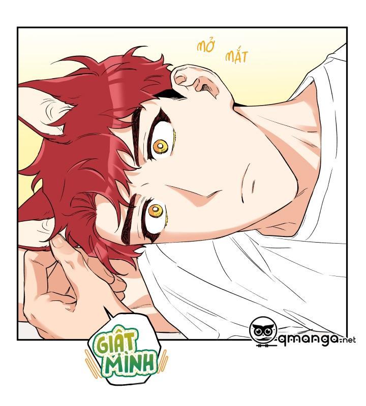 gâu gâu! chapter 8 60