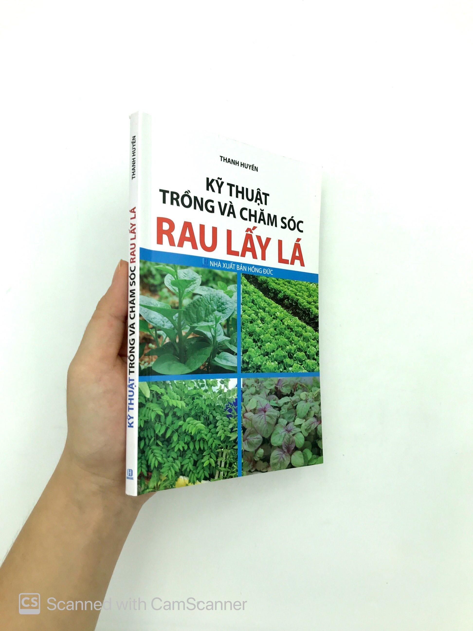 Kỹ Thuật Trồng Và Chăm Sóc Rau Lấy Lá