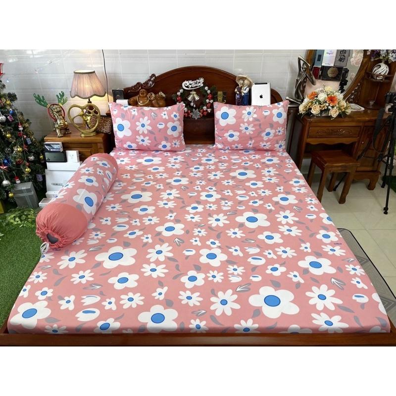 Drap thun hàn quốc