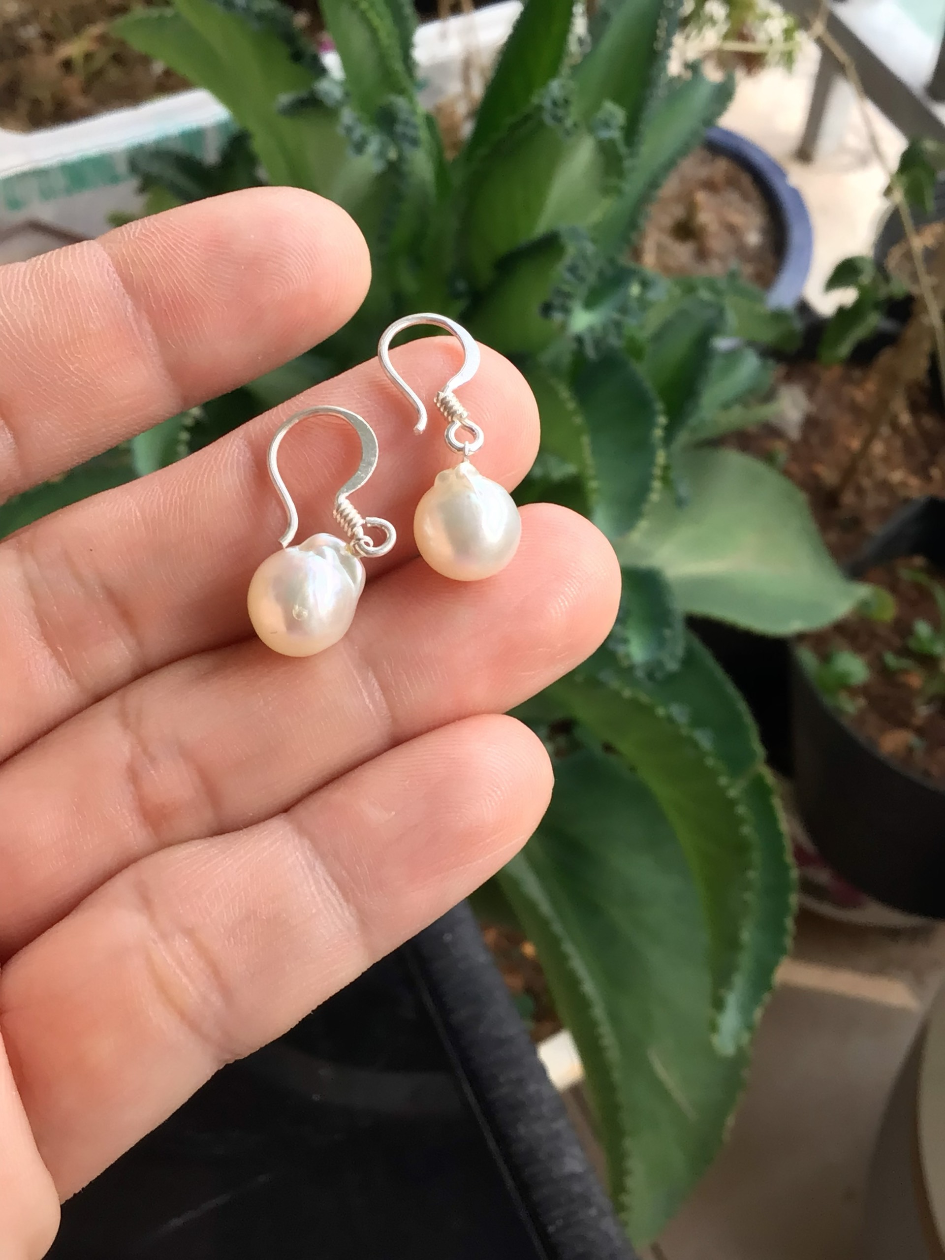 Hoa tai Bạc 925 và Trai mặn Akoya dạng Dị