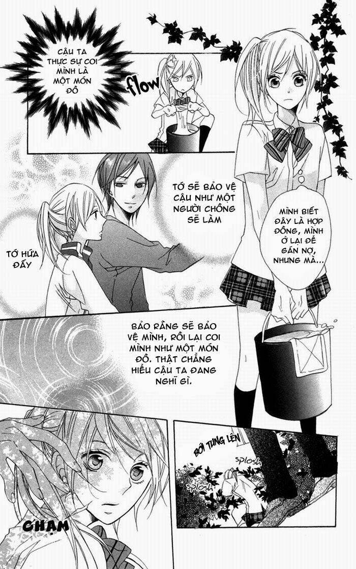 hoa hồng hoang dã chapter 3 12