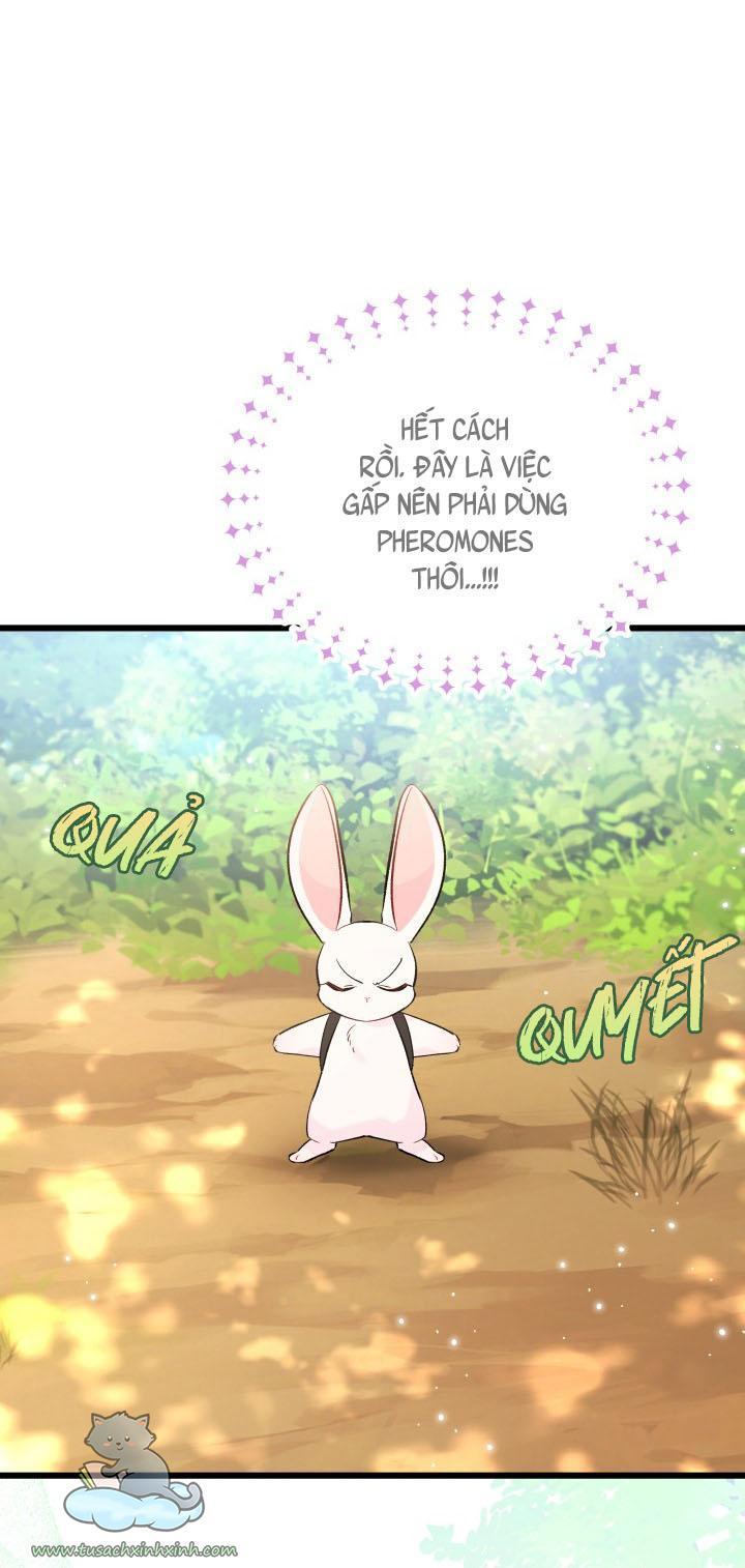 quan hệ cộng sinh giữa báo đen và thỏ trắng chapter 61 32