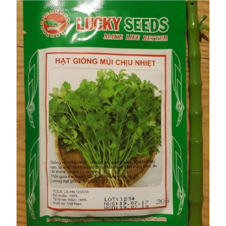 Hạt giống Ngò Rí Bạc Liêu ,mùi tàu dể trồng f1- Gói 20gram-tặng kèm gói phân bón lót