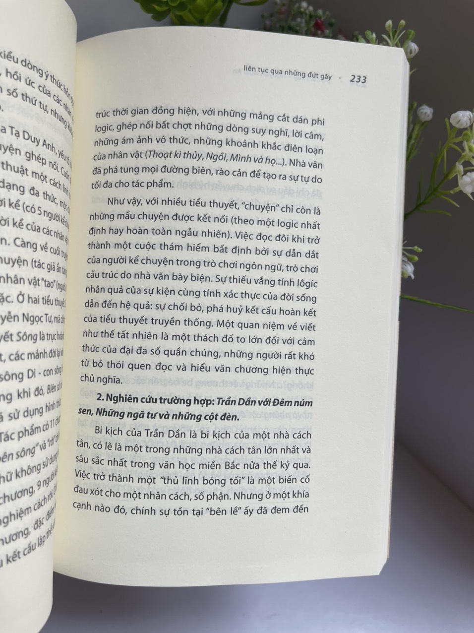 LIÊN TỤC QUA NHỮNG ĐỨT GÃY - Đỗ Lai Thuý - Nguyễn Hoài An – Nxb Hội Nhà Văn