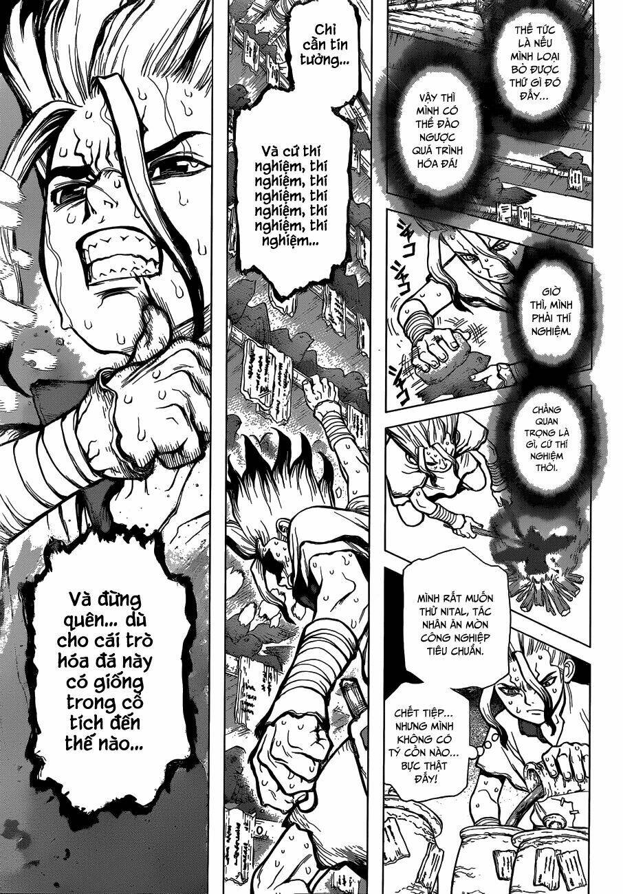 dr.stone - hồi sinh thế giới chapter 14 14