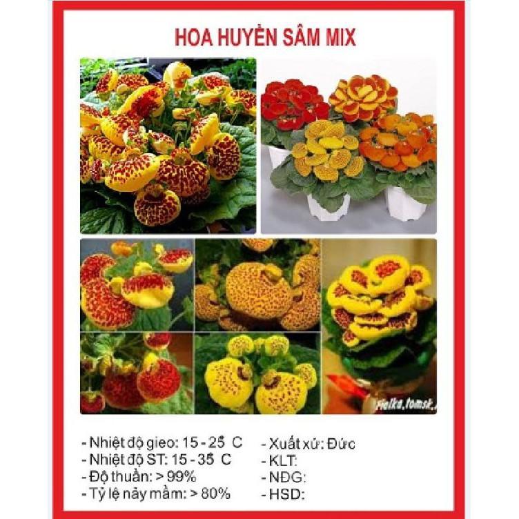Hạt giống hoa Huyền sâm F1 Nhiều Màu – 50Hạt/gói